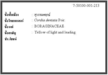 กล่องข้อความ: 7-50100-001-213 ชื่อพื้นเมือง : สุวรรณพฤกษ์ ชื่อวิทยาศาสตร์ : Cordia dentata Poir. ชื่อวงศ์ : BORAGINACEAE ชื่อสามัญ : Yellow of light and leading ประโยชน์